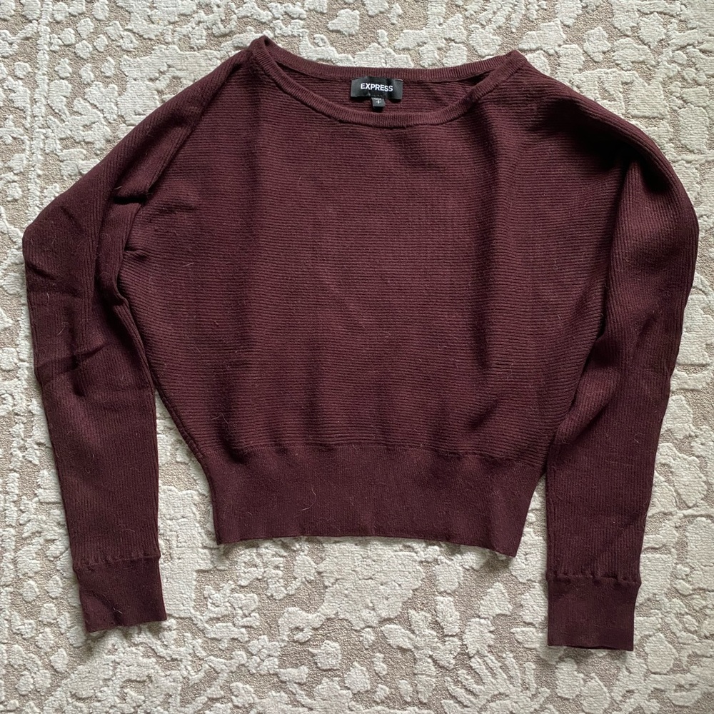 Express Batwing Sweater
